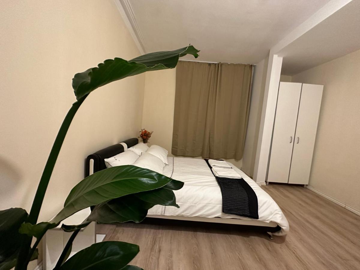 North London A Spacious 7 Bedroom House Accommodating Up To 18 People Complete With Own Gym And Table Tennis エクステリア 写真
